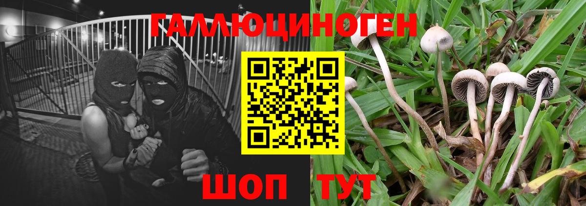Галлюциногенные грибы Аша