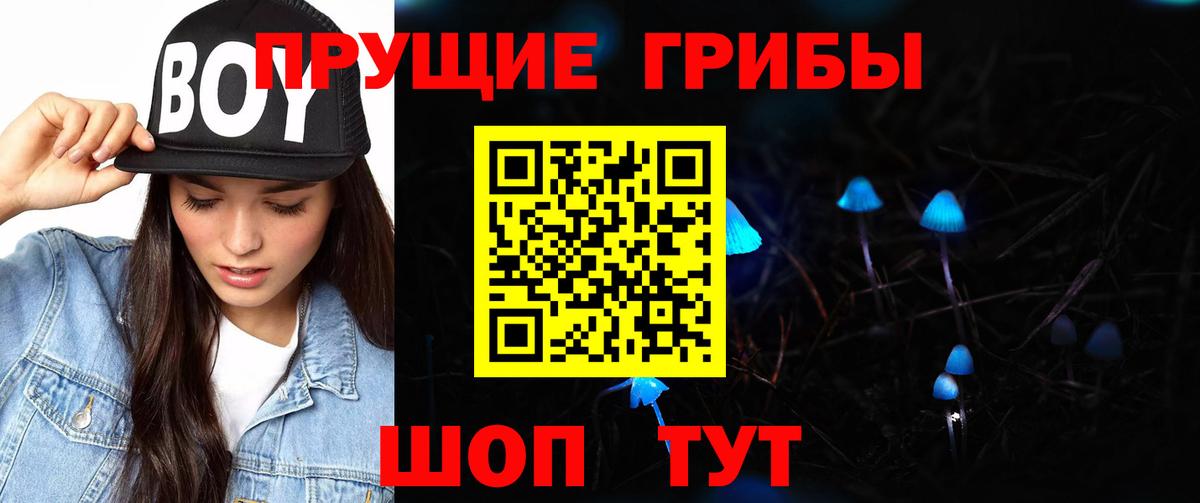 Аша  Псилоцибиновые грибы GOLDEN TEACHER  Галлюциногенные грибы Cubensis  Вход с VPN 